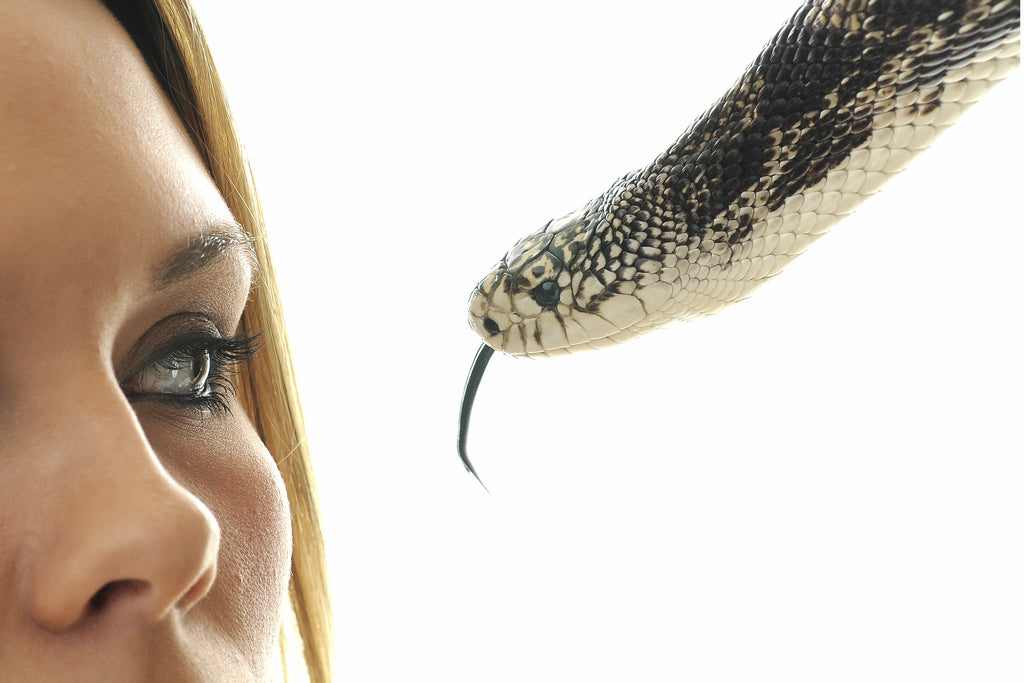 Fear of Snakes